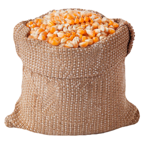 Farine de gluten de maïs jaune pour l'alimentation des chevaux, des bovins et des porcs, sacs de 25 kg, durée de conservation de 36 mois - Product Image 5
