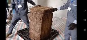 Traditional Herbal <b>Grass</b> Jelly Leaves <b>Dried</b> Natural Ingredient For Asian Cooling Dessert Black Jelly Beverages Bulk Supply - Product Image 6