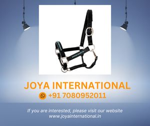 Licou équestre Bling Aqua Diamond noirci cuir de cheval licou prix de gros - Product Image 2