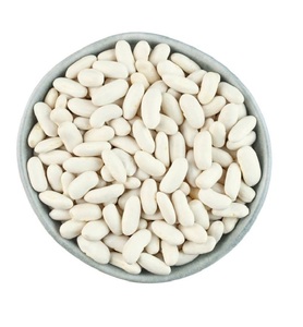 Vente en gros 100% Haricots blancs biologiques de qualité supérieure Meilleure qualité en vrac à bas prix - Product Image 5