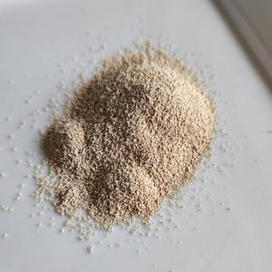 ผงเกล็ดยีสต์โภชนาการ - Product Image 2