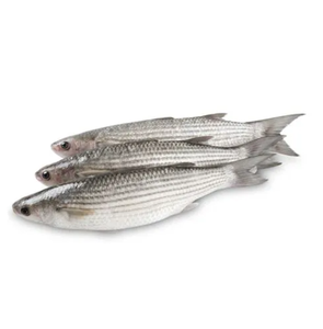 IQF กระบอกน้ำสีเทาเสียใจมากสำหรับฤดูกาลใหม่ - Product Image 3