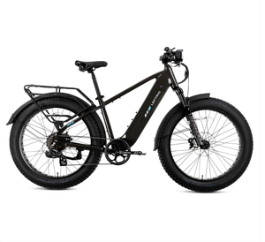 XPeak2/High-Step Long-Range/eBike - Product Image 1