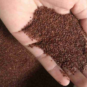 Semillas de Cinco Flores Puras para Té Detox - Product Image 5