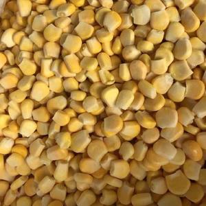 Maíz Dulce Entero Congelado LQF de Vietnam, Granos de Maíz en Mazorca, Vegetales Conservados en Agua, a Granel, Envasado al Vacío, Tipo Date - Product Image 6