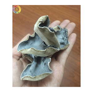 Champignons noirs séchés de qualité supérieure, champignons oreilles de bois séchés comestibles, champignons oreilles de nuage entiers ou en tranches, champignons en vrac pour la cuisine - Product Image 6