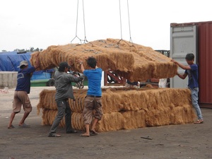Juego de Material de Plan de crecimiento de fibra de coco, poste de musgo con herramientas de jardín extensibles para trepar plantas, Coco apilable, Loto Azul - Product Image 2