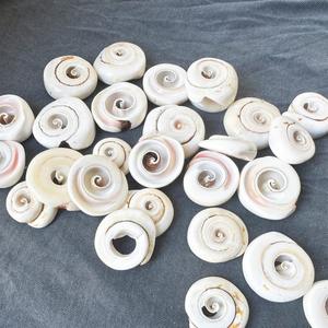 Tranches de coquillages artisanaux en forme de spirale pour décor côtier, présentoirs de mariage et projets faits à la main - Product Image 3