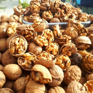 Factory Direct Walnuts <b>Nuts</b> Premium Natural Walnuts <b>Kernels</b> Raw Whole <b>Nuts</b> Bulk Supply for Food Industry Retail Export Market - Product Image 1
