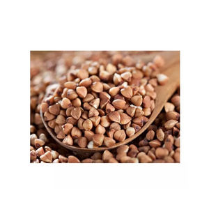 Alforfón tostado de la mejor calidad a la venta a precio barato - Product Image 5