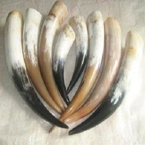 Venta caliente de la mejor calidad de cuerno para beber vikingo pulido corto blanco hecho a mano Real de F S International - Product Image 3