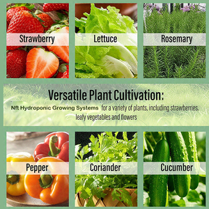Nông nghiệp dọc hệ thống thủy canh nft kênh PVC Ống hydroponics hoàn chỉnh hệ thống thủy canh rau diếp phát triển hệ thống - Product Image 3