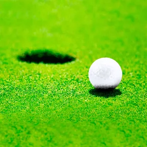 Gadget Personalizzati con Palline da Golf Nessa - Product Image 2