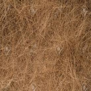 Fibra de coco de calidad de exportación fibra de coco procesada limpia fuerte perfecta para compradores mayoristas e industriales globales - Product Image 1