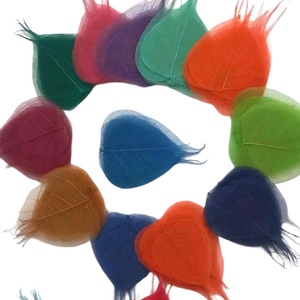 Hojas de esqueleto decorativas para Halloween, artesanía ecológica biodegradable natural, proyectos de arte DIY y flores decorativas - Product Image 1