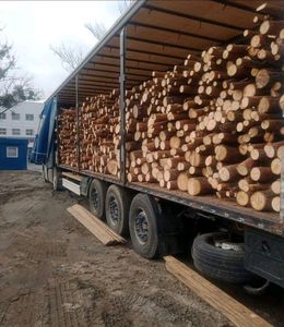 Premium Hardwood Kiln Dried Firewood / Pine Wood <b>Logs</b> Grade a Round Shape White & Red Color for Sale Worldwide - Product Image 1