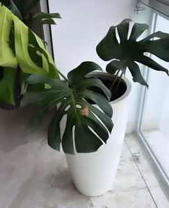 Macetas de fibra de vidrio de alta calidad personalizables en tamaño y color para decoración de jardín - Product Image 1