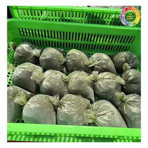 Hojas de tapioca trituradas congeladas El mejor precio para pedidos a granel 100 por ciento de hojas de mandioca congeladas naturales para cocina africana - Product Image 2