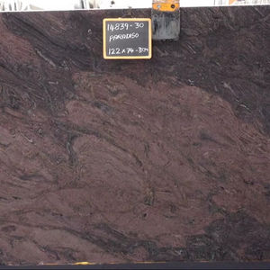 Granit Paradiso classique durable et poli pour une utilisation intérieure dans les parcs Villas Salons Cuisines Salles de bain - Product Image 1