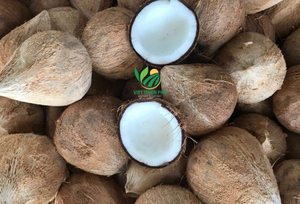 Vente en gros de noix de coco semi-décortiquées de haute qualité-Produit chaud à bas prix-Fabriqué par VIET THIEN PHU de VIET NAM-Alimentation saine - Product Image 3