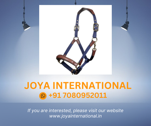 Luna Cuir & Nylon Halter saisonnier - Product Image 2