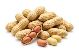 Cacahuetes Crudos Secos Orgánicos Premium al por Mayor, Calidad de Exportación, Marca Privada OEM Disponible, Alta Calidad, Frescos, Naturales y Saludables - Product Image 5