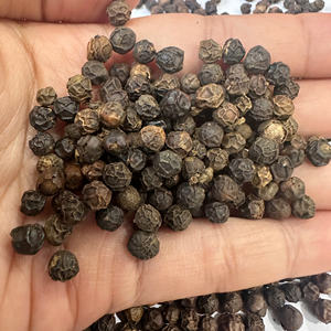 Poivre noir du Vietnam de haute qualité de fabrication prêt pour l'exportation en vrac toutes qualités épices simples et herbes/ANNA DO VILACONIC - Product Image 3