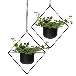 Raboteuse en seau galvanisé, multicolore, livraison gratuite - Product Image 6