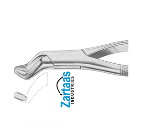 Fórceps Dentales de Acero Inoxidable de Alta Calidad para Extraer Molares Superiores, Figura 210S, Exportadores y Fabricantes - Product Image 4