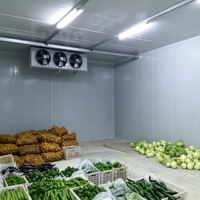 Chambre Froide Modulaire Personnalisée Moins de 200 m² à Panneaux Sandwich PU/PIR Type Split pour Stockage Alimentaire Commercial et Usage Industriel