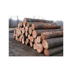 Maderas de madera de teca aserrada Troncos de pino y cerezo rojo - Product Image 1