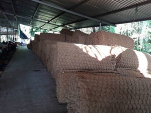 Blue Lotus Coir Rope De Coconut Coir Rope Prix raisonnable Blue Lotus 2023 au Vietnam - Product Image 3