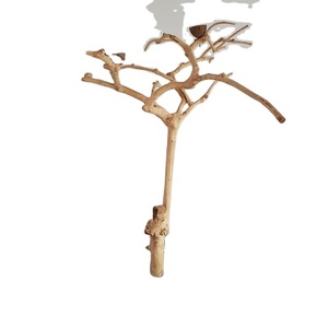 คอนเกาะสำหรับนกทำจากไม้ชวาธรรมชาติคุณภาพดีแบบเกาะสำหรับนกกาแฟ - Product Image 3