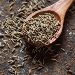 Graines de cumin de qualité supérieure pour l'exportation | Jeera séché entier | Approvisionnement en vrac d'Inde - Product Image 3