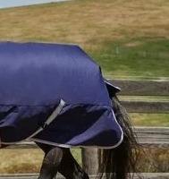 ผ้าคลุมม้าบลูแอชเมียร่า สำหรับขี่ม้า ทำจากวัสดุใยสังเคราะห์ผสมฝ้าย ทนทาน เหมาะสำหรับการฝึกม้า ใช้ในฤดูหนาว มีขนาดสั่งทำได้ ขายดี - Product Image 3