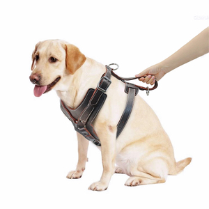 Servicio OEM Chaleco de cuero de entrenamiento personalizado para perros Arnés de seguimiento de perros de cuero genuino para perros grandes - Product Image 5