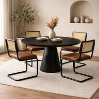 Chaise de salle à manger industrielle moderne en cuir de buffle, dossier en rotin, structure en métal noir, non pliable |   Conception en cantilever fabriquée en Inde AKKU