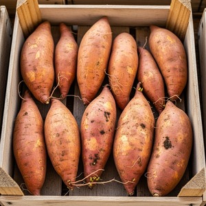 Batatas cuidadosamente seleccionadas y envasadas para distribuidores de alimentos, proveedores de restaurantes y exportadores globales de verduras. - Product Image 2