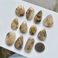 InfinityStones Agate Dendritique Tigre Marron Naturelle Cabochon Formes Mixtes Taille Libre 3-6mm Fournitures Premium pour la Fabrication de Bijoux Rajasthan