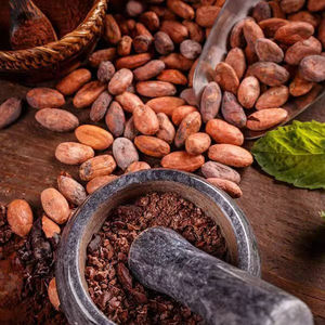 Granos de cacao seco a granel al por mayor con calidad constante para la industria de la confitería - Product Image 4