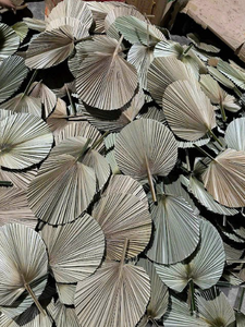 Authentique Palm Handfan du Vietnam Idéal pour l'exportation au détail et la marque personnalisée - Product Image 3