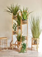 Support à plantes en bambou à plusieurs niveaux - Étagère de présentation en rotin tressé naturel, cadre arqué sur mesure pour la décoration intérieure