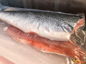 Filet de saumon chinook entier congelé coupe à lame faible en gras emballage sous vide grade 1 - Product Image 4