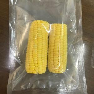 Maíz Entero Congelado de Vietnam de Primera Calidad para Exportación, 100% Natural, Envasado al Vacío, Compra al por Mayor a Precio de Mayoreo - Product Image 2