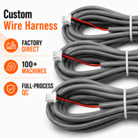 Kabel Harness 2 Pin Merah Hitam Kustom dengan Konektor untuk Lampu Natal, Lampu LED String, dan Lampu Tirai OEM