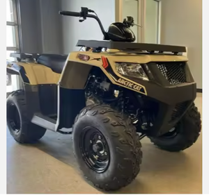 AUTOPARK 2024 ArcticS Cat Alterra 300 Herramientas manuales Garantía de 3 años Listo para enviar - Product Image 1