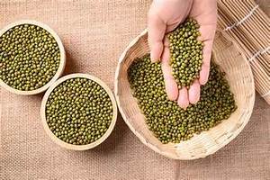 CLEAN LABEL MUNG BEAN PROTEÍNA NATURAL DE ALTA FIBRA VEGANO - Product Image 4