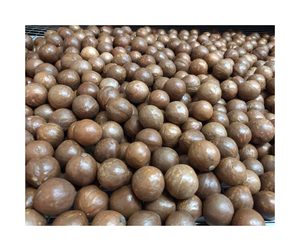 Noix de macadamia décortiquées de haute qualité du Vietnam - Noix de macadamia grillées pour grignoter - Product Image 5