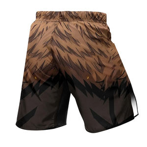 Pantalones Cortos de MMA de Último Diseño, Sublimación Personalizada, Elásticos, Transpirables, de Secado Rápido, Ropa de Entrenamiento y Fitness - Product Image 2