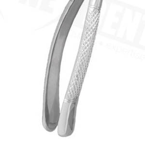 Ensemble dentaire, pinces d'extraction dentaire en acier inoxydable, pinces d'extraction dentaire de qualité supérieure, instruments chirurgicaux - Product Image 4